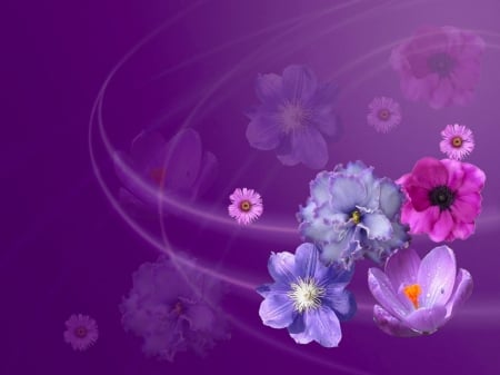 Purple softness