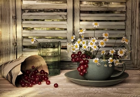 Still Life - flowers, berries, still life, photo