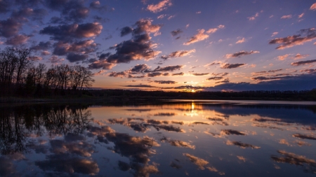 clouds reflected in a lake at sunrise - reflections, lake, trees, clouds, sunrise