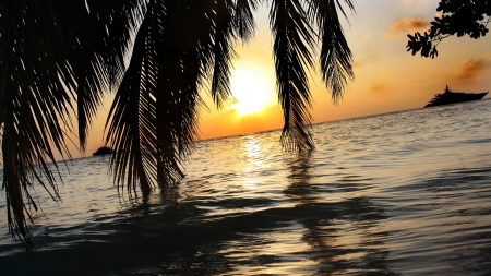 Summer Sunset - trees, vacation, sea, island, palm, maldives, sunset, nature, sun, sky