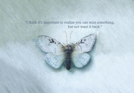 * - butterfly, saying, words, blue