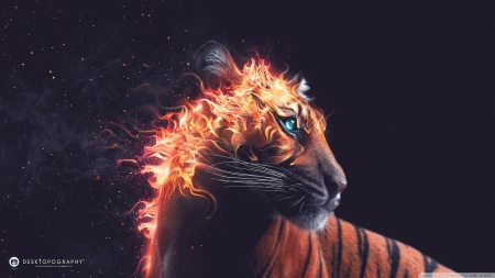 Tiger - fantasy, Tiger, art, wallpaper