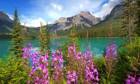 lake flowers - lake, freshness, beautiful, flowers, spring, wildflowers, hills, mountain