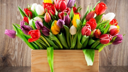 Spring Flowers - pot, tulips, springtime, colors, bouquet