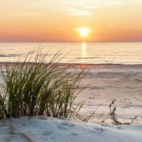 Sugar White Sand with a Caramel Sunset