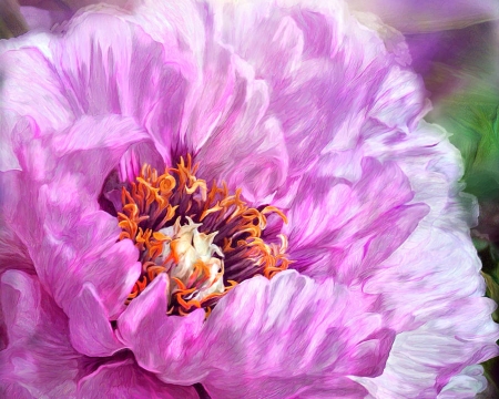 Radiant orchid peony - flower, pink, radiant orchid peony, spring, art, carol cavalaris, pictura, luminos, painting