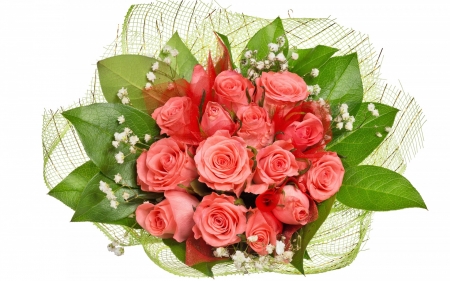 Happy Women's Day! - white, pink, day, card, green, bouquet, rose, flower