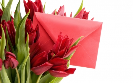 Happy Women's Day! - letter, flower, bouquet, tulip, white, red, green, woman, card, day