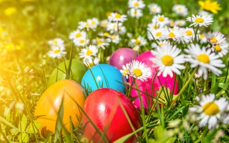 Spring and Easter - eggs, easter, daisies, grass, spring