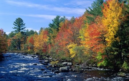 colours of england - england, tree, autumn, river