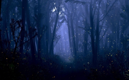 Fantasy Forest