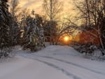 Winter Sunset