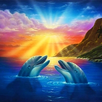 Dolphins at Sunset