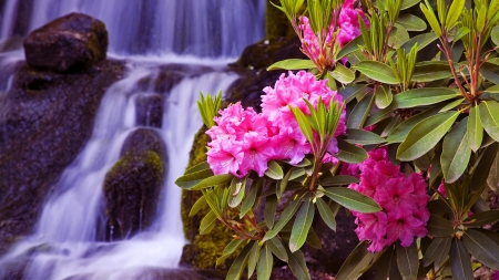 Spring flowers - flowers, waterfall, beautiful, garden, spring, freshness, park