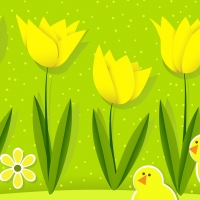 Tulips and Chicks