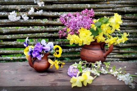 Spring Flowers - yellow, lilac, beauty, spring, freshness, daffodil, pansies, flowers, colorful, nature, purple, lila