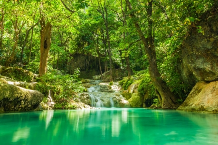 Creek in Thailand - trees, water, reflection, pond