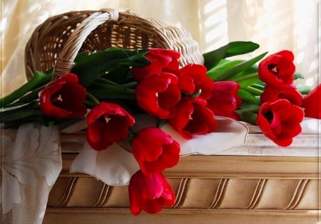 Red tulips - flowers, basket, tulips, nature, red, beauty, spring, petals