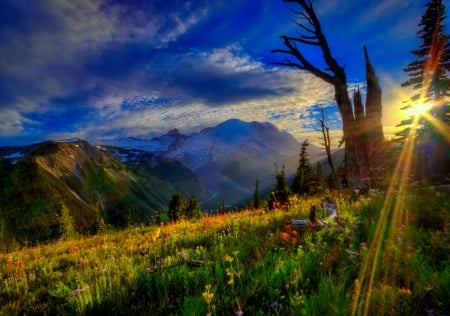 Mountain meadow lit by the sun - sunlight, hills, beautiful, slope, spring, meadow, mountain, flowers, wildflowers, glow, colorful, rays, sun, sky, shine