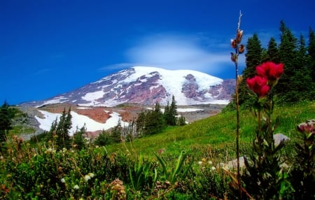 Spring in mountain - sky, freshness, mountain, hills, landscape, greenery, spring, rocks, beautiful, snowy, grass, wildflowers, cliffs