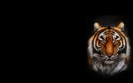 Tiger - minimalism, animal, tiger, black