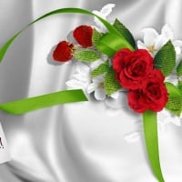 Red Roses on White Satin