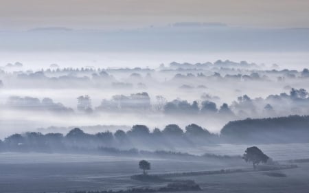 Fog - morning, fog, nature, mist