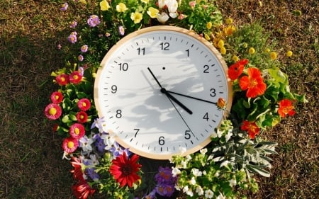 Time - flower, minute, time, clock