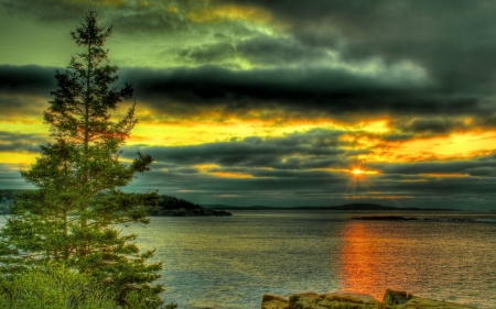 Lake - sky, lake, tree, sunset