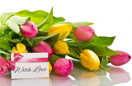 Spring Tulips - love, bow, card, tulips, ribbon, flowers, still life, spring