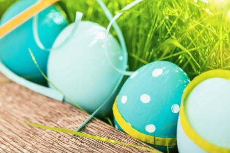 Easter - easter, holiday, flowers, happy easter, easter eggs