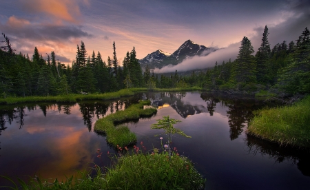 Island View, Pacific Mountains, Alaska - sky, water, reflection, clouds, trees