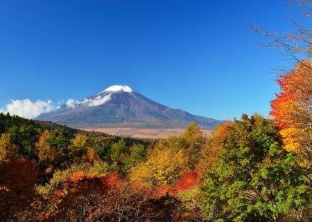 Mount Fuji at Fall, Japan - trees, volcano, landscape, colors, leaves