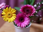 Vase With Gerbera