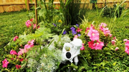 garden angel - flowers, grass, reeds, angels