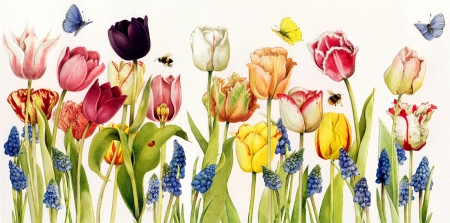 Spring Tulips - flowers, bees, tulips, butterflies, spring