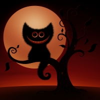 Cheshire Moon Cat