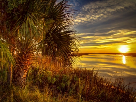 Beach Sunset - palm, beach, grass, lake, reflection, clouds, river, trees, sunset, nature, sunrise