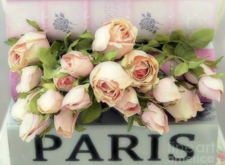 ✿⊱•╮P a s t e l╭•⊰✿ - flowers, roses, lovely still life, nature, photography, love four seasons, pastel