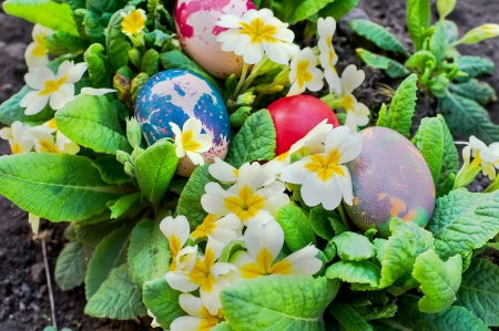 Colorful Easter eggs