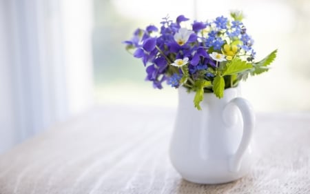 Flowers - still, nature, jug, flowers