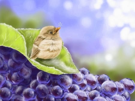 Frosty Grapes - animals, winter, bird, nature, purple, love four seasons, green, paintings, flowers, grapes, colors