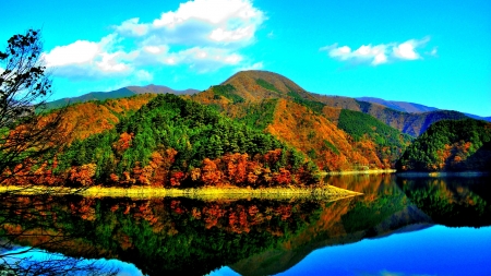 Lake in Reflection - nature, autumn, lake, trees, forest, reflection, mountains