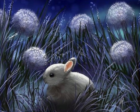 Sweet Dandelions - dandelions, animals, night, easter, bunny, spring, nature, rabbit, love four seasons, paintings, flowers