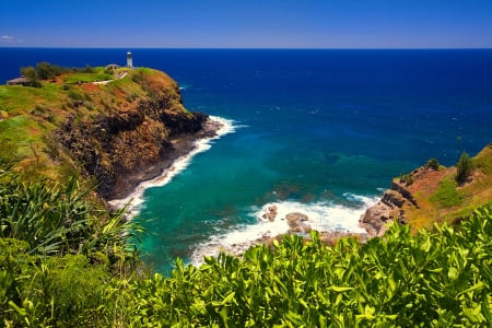 Hawaiian Cliffs - path, water, lighthouse, plants, sea