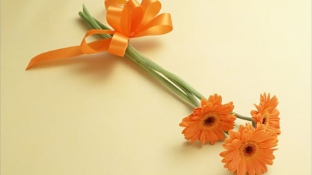 For my dear Welcha - flowers, orange, friend, still life