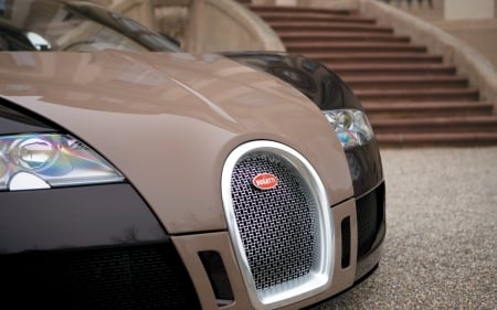 Bugatti Veyron - Car, Sports, Veyron, Bugatti, Auto