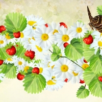 Fresh Spring Berries and Butterflies