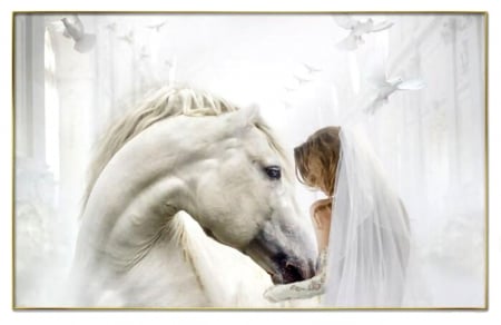 Wedding Photo - Horse F - wide screen, wedding, equine, photography, bride, doves, horse, beautiful, animal, photo