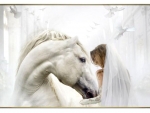 Wedding Photo - Horse F